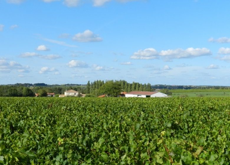 Domaine de l’Espérance