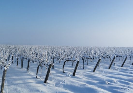 Domaine de l’Espérance