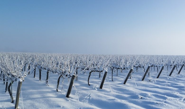 Domaine de l’Espérance