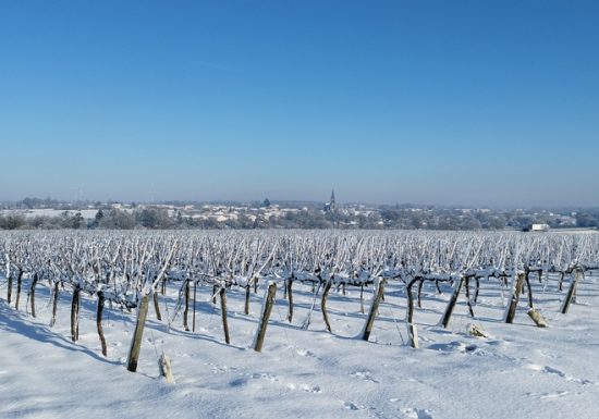 Domaine de l’Espérance