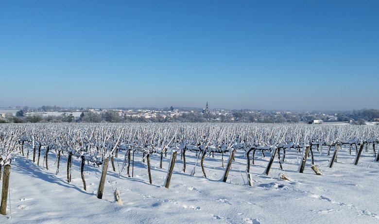 Domaine de l’Espérance