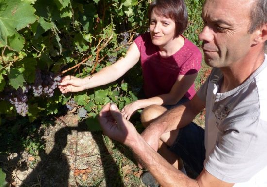 Domaine de l’Espérance