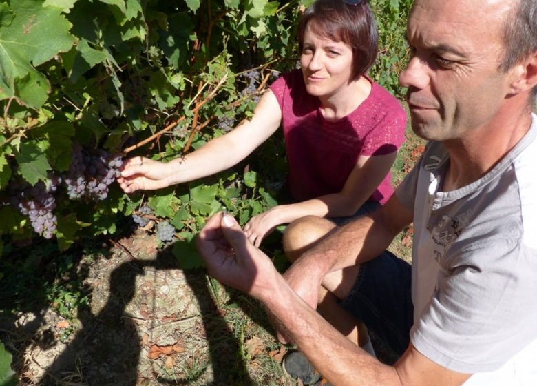 Domaine de l’Espérance