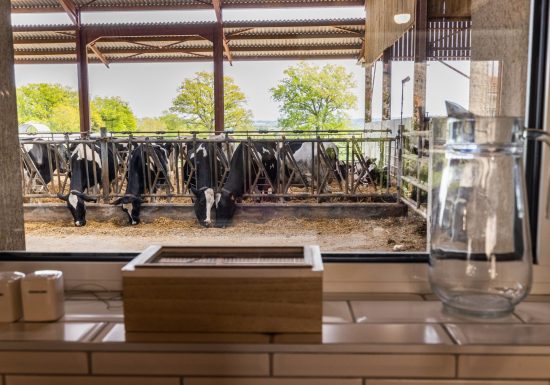 Gîte Laiterie – Vers Lait Gîtes