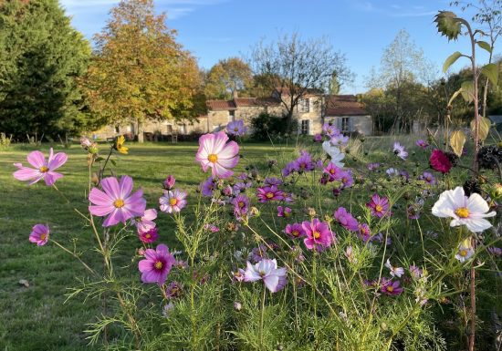 Chambre d’hôtes Un brin nature