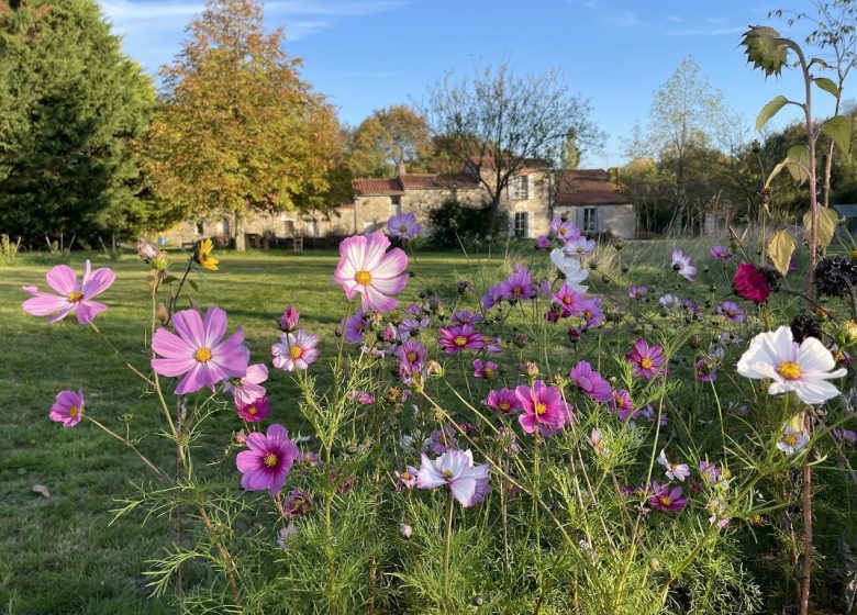 Chambre d’hôtes “Un brin nature”