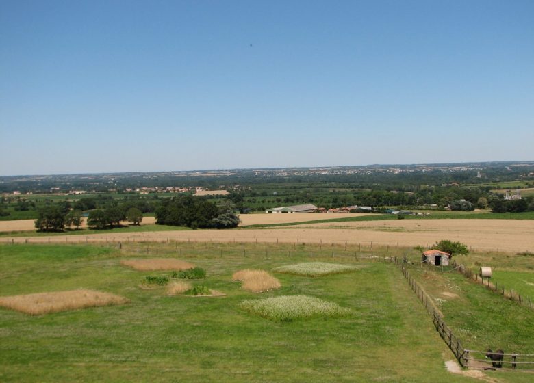 Panorama du Moulin de l’Epinay