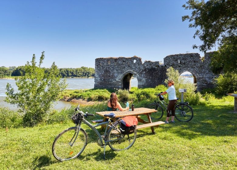 Location de vélos à l’Office de Tourisme de Champtoceaux