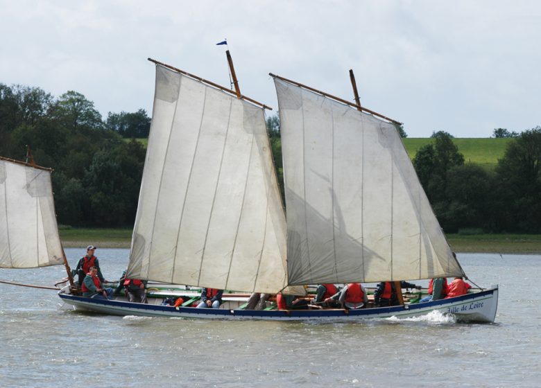 Yole du Pays d’Ancenis